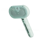 Massage Spray Grooming Comb