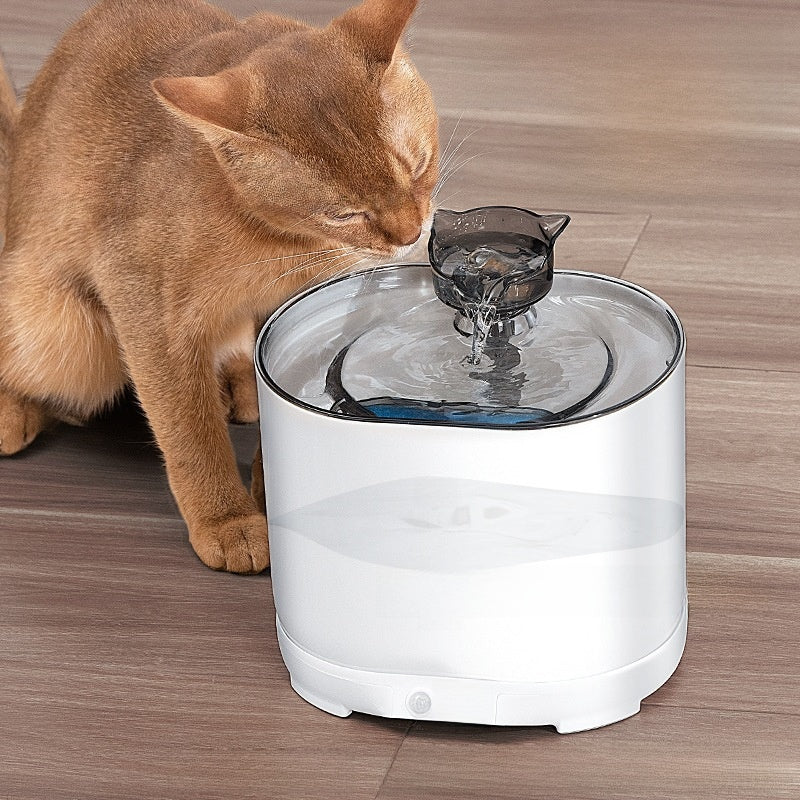 Circulating Water Dispenser with Wireless Charging