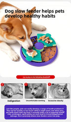 Double-Layer Puzzle Slow Feeder Bowl