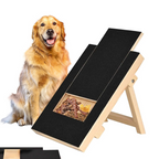 Scratch Board with Food Box