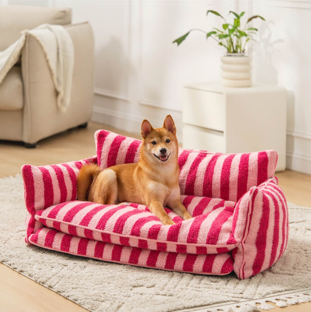 Lounge Sofa Bed