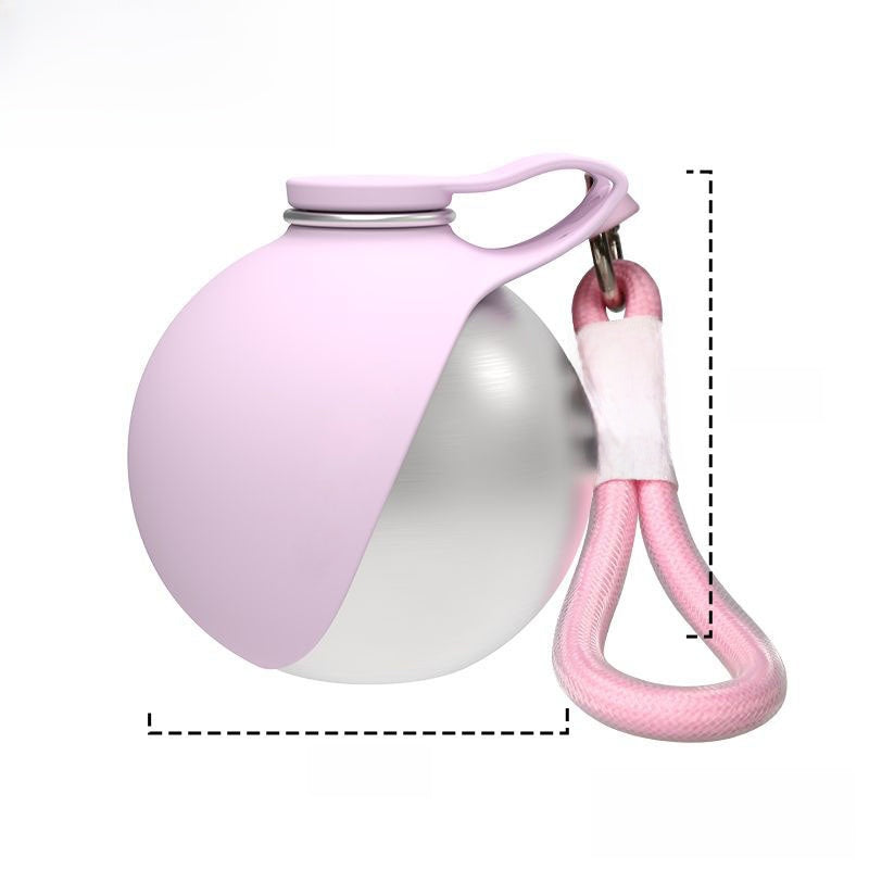 Travel Water Bottle