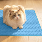 Pet Cooling Mat