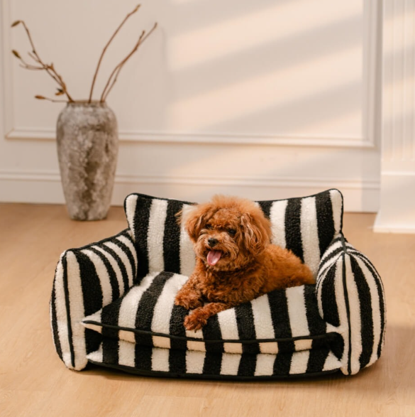 Lounge Sofa Bed