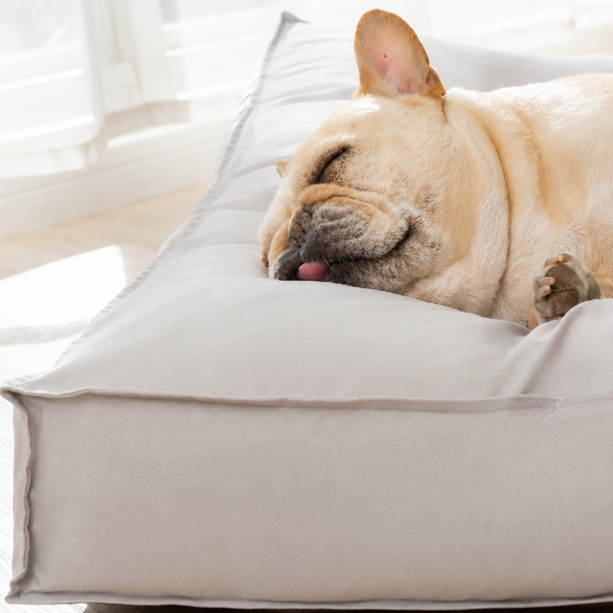 Everyday Comfort Bed