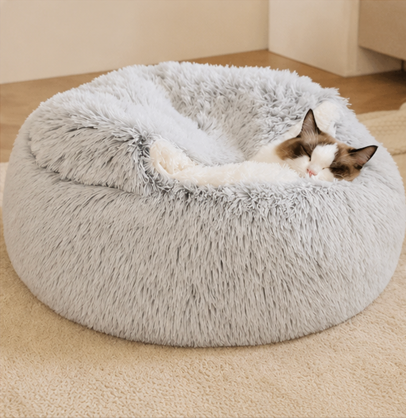 Cozy Hideaway Shell Bed