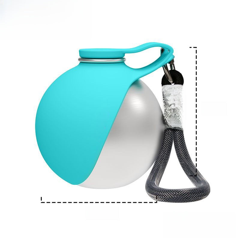 Travel Water Bottle