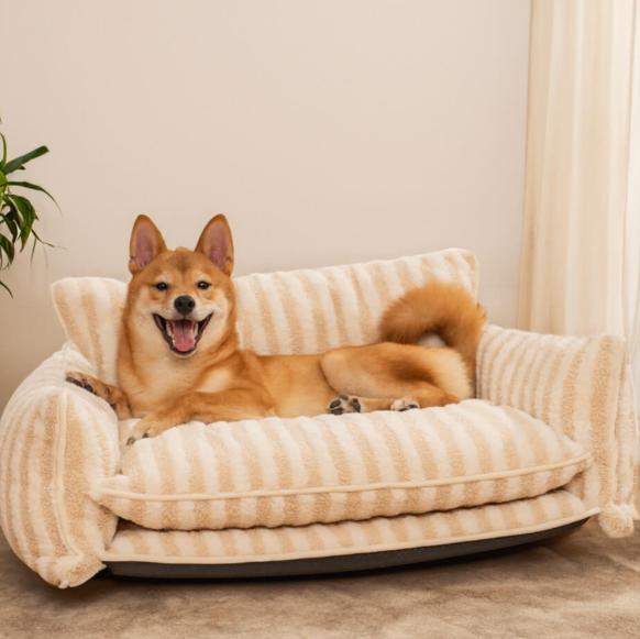 Lounge Sofa Bed