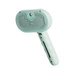 Massage Spray Grooming Comb