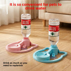Automatic Stable Water Dispenser