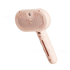 Massage Spray Grooming Comb