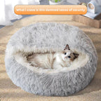 Cozy Shell Bed