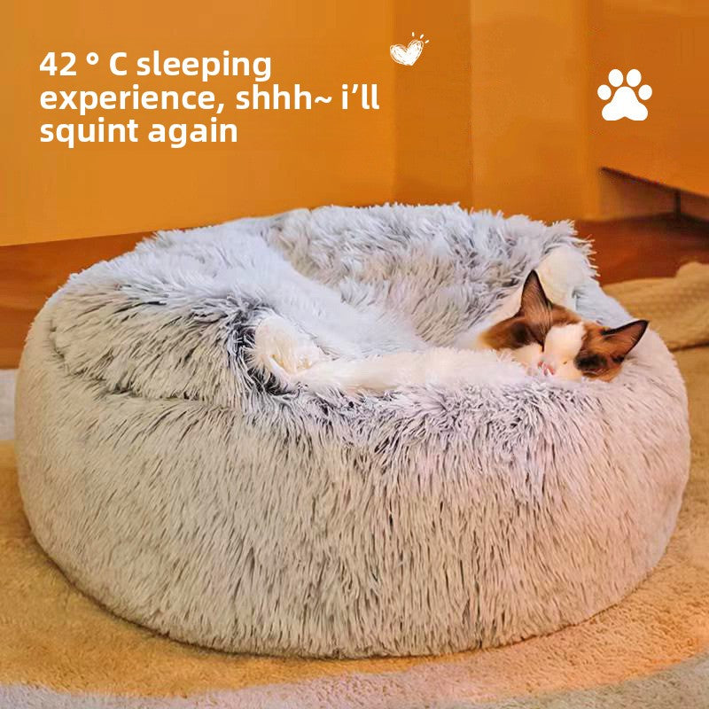 Cozy Shell Bed